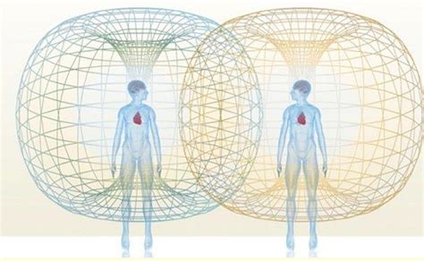 Electrical and Magnetic Fields of the HEART - Matrix Harmonics