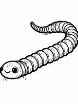 Earthworm coloring Pages sketch template