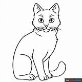 Realistic Cat Drawing Guides  Coloring Home sketch template