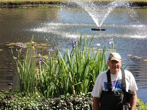 Simple Aquascaping of Your Retention Pond Using Native Plants | Bay ...