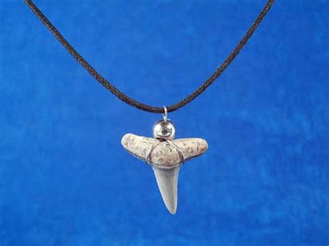 Fossil Shark Tooth Necklace