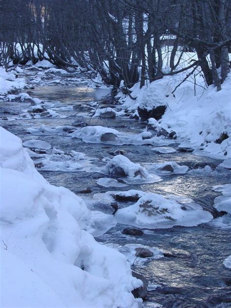 frozen river Free Photo Download | FreeImages