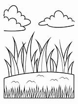 Bush Of Grass coloring book Pages For Children And Adults With Vector  sketch template