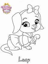 Coloring Pages Haven Whisker Choose Board Palace Pets Sketch Page sketch template