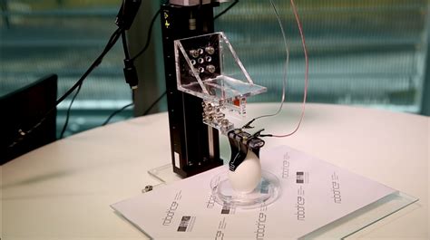 Soft Robotic Grippers Could Capture Depris In Space - TechTheLead - Technology for tomorrow