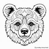 Bear Face Coloring Pages  Free & Printable sketch template
