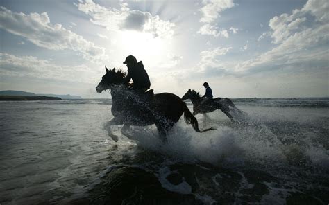 Download Horse Racing Sports HD Wallpaper