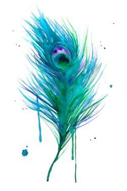 watercolor tattoo | Tumblr | Feather illustration, Watercolor peacock, Watercolor feather