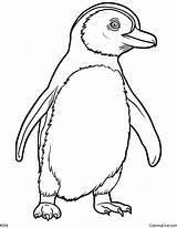 African Penguin Coloring Page sketch template