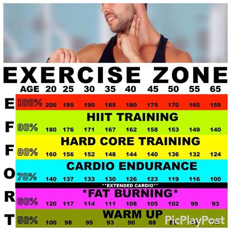 16+ Heart Rate Zones Chart Uk Background | Student Diagram Resources