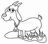 Dairy Goat Clipart sketch template