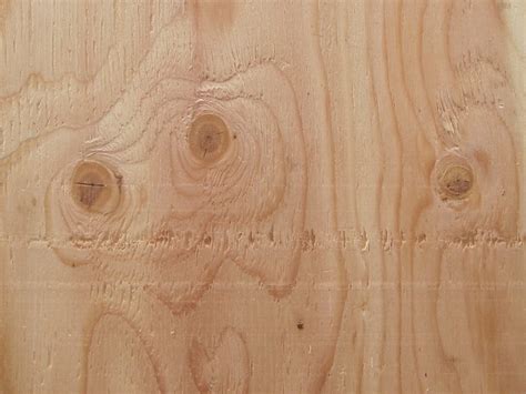 Wood Grain Texture | Flickr - Photo Sharing!
