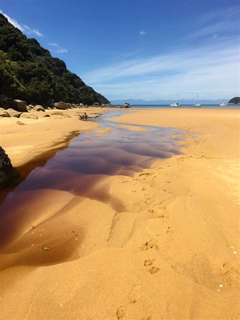 Cruise and helicopter trip in the Abel Tasman National Park and over ...