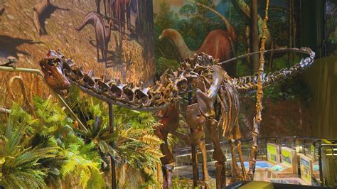 Dinosphere exhibit reopens at Children's Museum following renovations ...