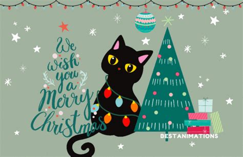 Cute Merry Christmas Wishes With Kitty Pictures, Photos, and Images for ...