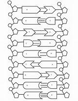DNA  The Double Helix Coloring Worksheet PDF Dna Rna sketch template