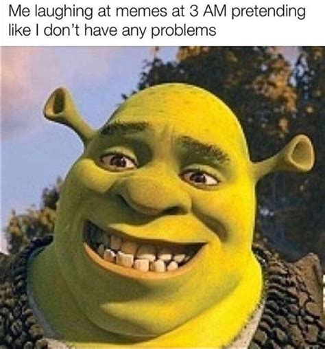 Search Shrek Memes On Meme | Images and Photos finder