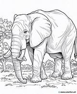 Realistic elephant coloring Page Download Or Print For Free sketch template