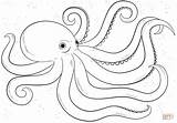 Octopusses Coloring Pages  Learny Kids sketch template