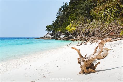 Tioman Island, Malaysia: A Complete Travel Guide — LAIDBACK TRIP