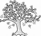 Maple Tree In Fall Leaf Coloring Page  coloring sketch template