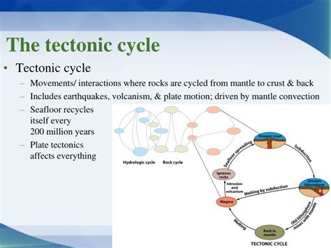 PPT - Chapter 4 – PLATE TECTONICS PowerPoint Presentation - ID:2277023