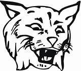Bobcat coloring Pages To Download And Print For Free sketch template