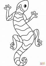 Lizard coloring Page  Free Printable Coloring Pages sketch template