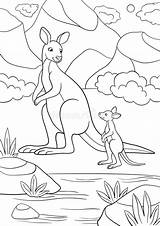 Coloring Pages Mother Kangaroo With Her Little Baby Stock Vector  sketch template