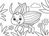Bug coloring Page  Free Printable Coloring Pages sketch template