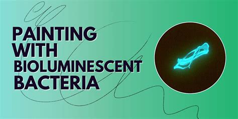 Painting With Bioluminescent Bacteria, Genspace, Brooklyn, 4 December 2022