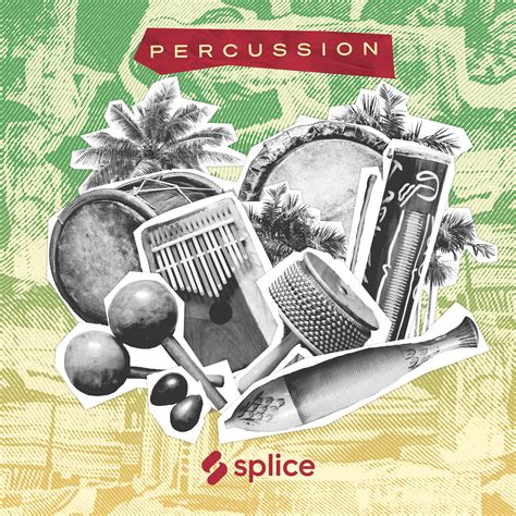 SplicePicks - Percussion - Samples & Loops - Splice Sounds