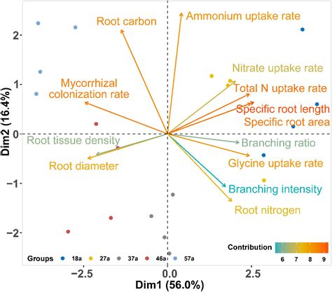 Frontiers | Nitrogen acquisition strategy shifts with tree age depending on root functional ...