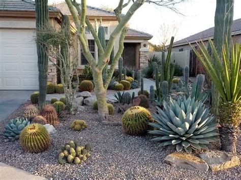 My Front Yard Garden | Desert landscape front yard, Rock garden ...