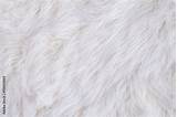 White Fur Texture Stock Foto  Adobe sketch template