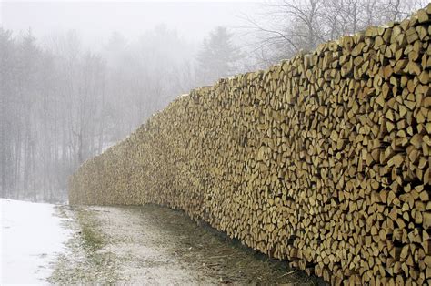 Stacking Firewood, Stacking Wood, Firewood Shed, Firewood Storage, Tree ...