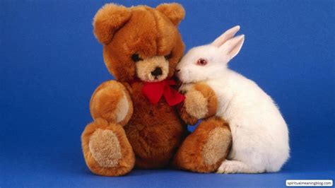 A Bear Holding a Rabbit Spiritual Meaning - Spiritual Meaning