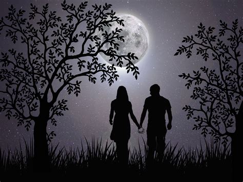 Free Images : love, romantic, night, together, feelings, couple, silhouette, moon, fantasy ...