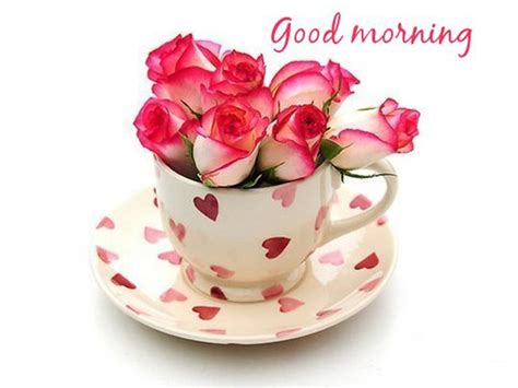 Good Morning With Pink Rose !! - Good Morning Wishes & Images