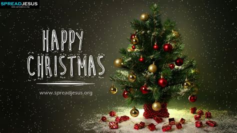 Happy Christmas Photos Free Download : Picturespool: Happy Christmas 2013 | Bodenewasurk