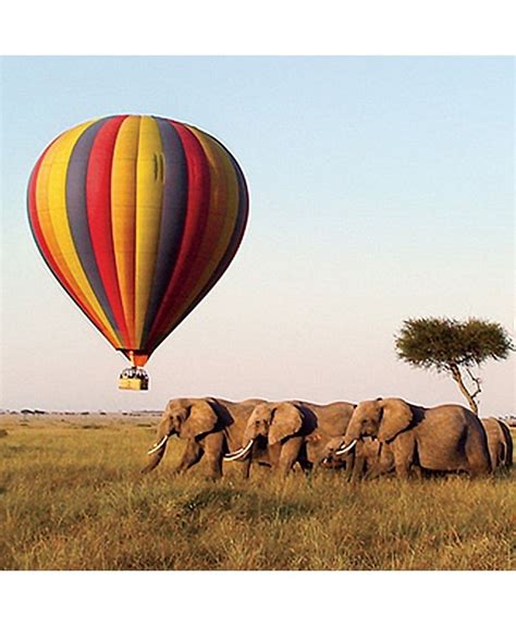 Masai Mara Hot Air Balloon | And so the adventure begins, Flight take off, Balloon flights