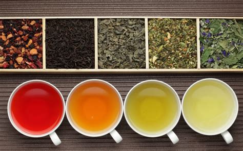 How To Make 5 Different Types Of Tea (And Their Benefits) | Stauffers