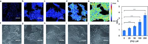 FA detection in ADH5 À/À vs. WT HAP1 cells with 500 nM RFAP-2. (a)... | Download Scientific Diagram