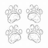 Different Cat Paws Coloring Page  Pages Mimi Panda sketch template
