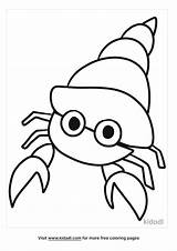 Free Hermit Crab Coloring Page  Printables Kidadl sketch template