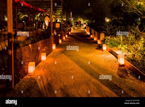 Desert Botanical Garden Luminarias Stock Photo - Alamy