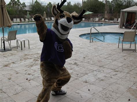 'Thunder' GCU Mascot | Grand Canyon University | Flickr