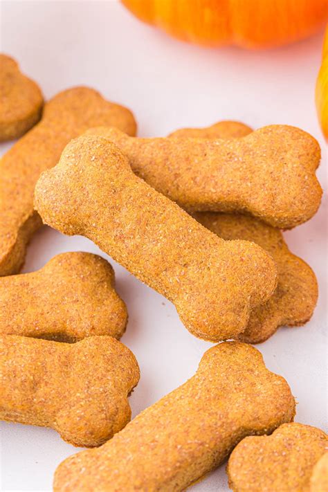 PUMPKIN DOG TREATS