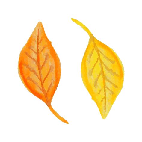 Premium Vector | Hand drawn set of watercolor leaves