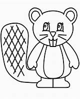 Beaver coloring page Free And Online sketch template